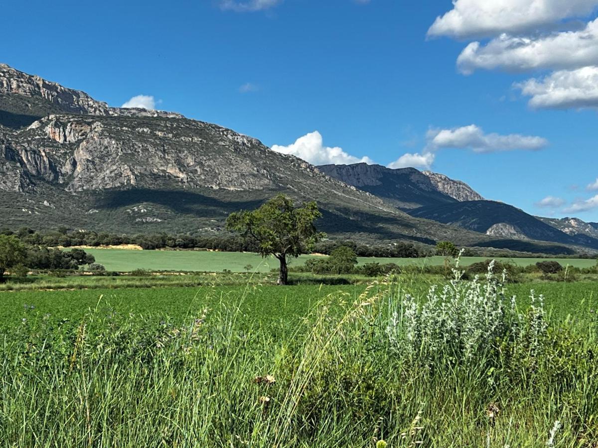 Apartaments La Pertusa 1R Piso Corca  Buitenkant foto